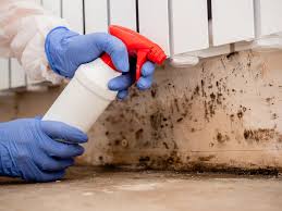 Best Emergency Mold Remediation  in Antelope, CA